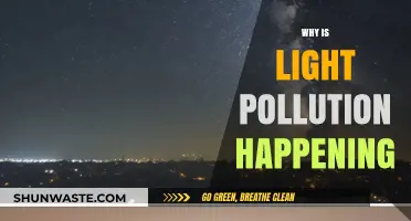 Unveiling the Causes of Light Pollution: A Growing Environmental Concern