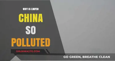 Linfen's Air Crisis: Uncovering China's Most Polluted City's Struggle