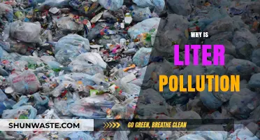 The Devastating Impact of Litter Pollution on Our Environment