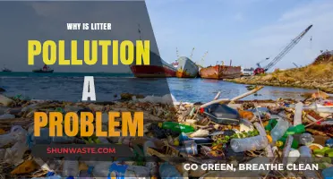 Litter Pollution: A Growing Environmental Crisis and Its Impact