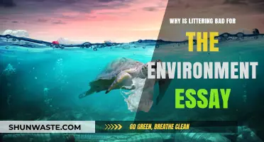 Littering's Devastating Impact: How Trash Harms Our Environment and Wildlife