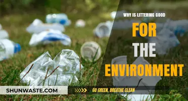 Littering's Surprising Eco-Benefits: Debunking Myths and Exploring Nature's Resilience