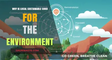 Local Sustainable Practices: How They Benefit Our Environment and Future