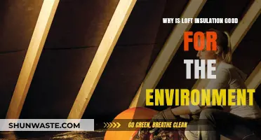 Eco-Friendly Loft Insulation: Reducing Carbon Footprint and Energy Costs