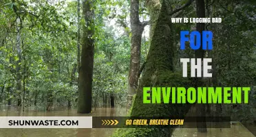 Logging's Devastating Impact: How Deforestation Harms Our Fragile Ecosystems