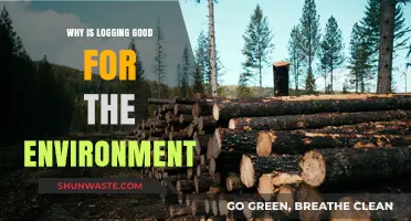 Logging's Surprising Eco-Benefits: Sustainable Practices for a Healthier Planet