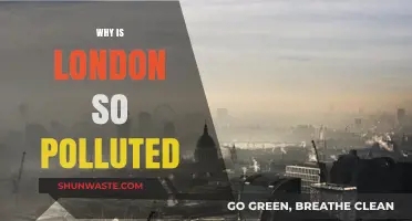 London's Air Crisis: Uncovering the Causes of Severe Pollution