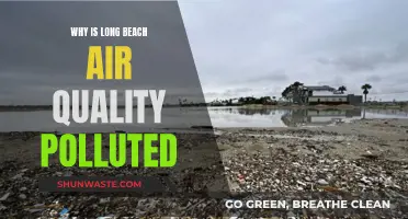 Long Beach Air: What's Polluting the Air?