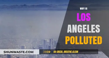 Why Los Angeles Struggles with Persistent Air Pollution: Key Factors Explained