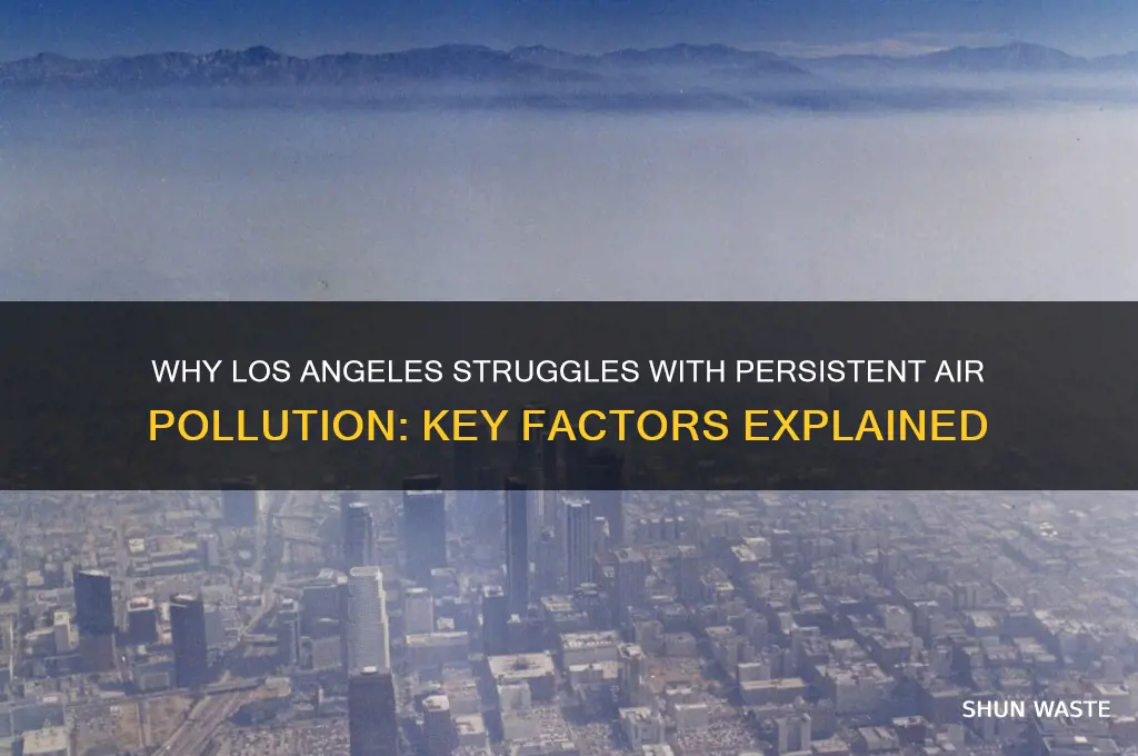 why is los angeles polluted