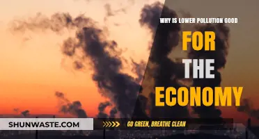Clean Air, Brighter Future: Economic Benefits of Reducing Pollution