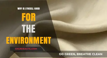Lyocell: Eco-Friendly Fabric Choice for a Sustainable Future
