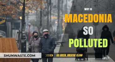 Exploring Macedonia's Pollution Crisis: Causes, Impacts, and Solutions