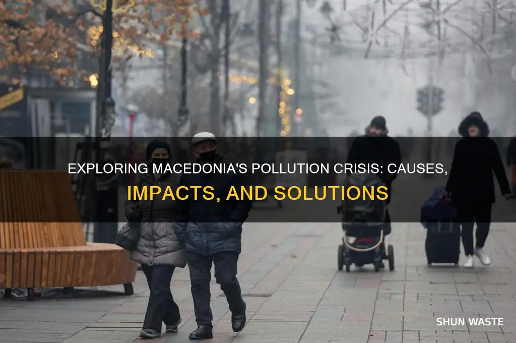 why is macedonia so polluted