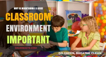 Fostering Success: The Importance of a Positive Classroom Environment