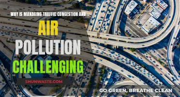 Traffic and Air Pollution: A Complex Challenge