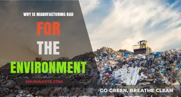 Manufacturing's Environmental Impact: Pollution, Waste, and Unsustainable Practices Explained