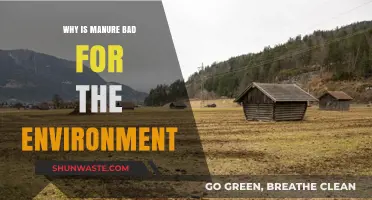 Manure's Environmental Impact: Uncovering Hidden Harms and Sustainable Alternatives