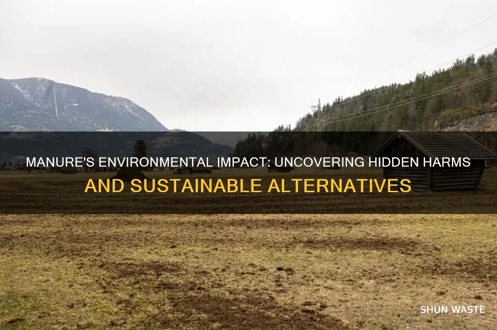 why is manure bad for the environment