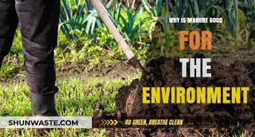 Manure's Eco-Friendly Benefits: Boosting Soil Health and Sustainability