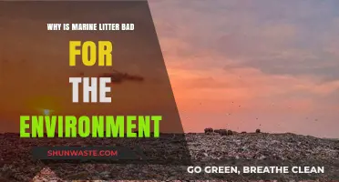 Marine Litter's Devastating Impact: Harming Ecosystems and Threatening Our Planet