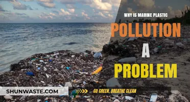 Marine Plastic Pollution: A Global Crisis Threatening Ecosystems and Humanity