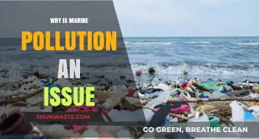 Marine Pollution Crisis: Understanding Its Devastating Impact on Our Oceans