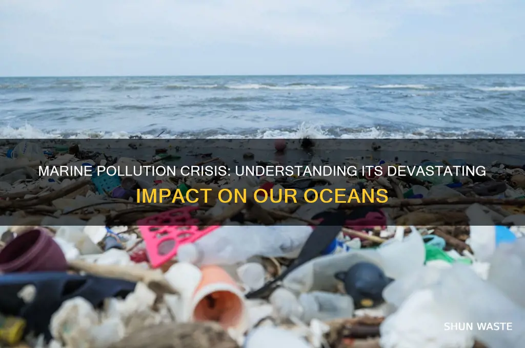 why is marine pollution an issue