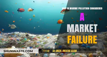 Marine Pollution Crisis: Unraveling the Market Failure Behind Ocean Degradation