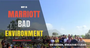 Marriott's Environmental Impact: Uncovering the Hotel Giant's Sustainability Failures