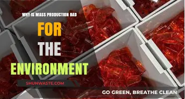 Mass Production's Environmental Toll: Uncovering the Hidden Ecological Costs