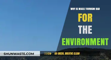 Mass Tourism's Environmental Impact: Uncovering the Hidden Costs of Overcrowding