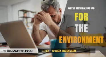 Materialism's Environmental Toll: How Overconsumption Harms Our Planet