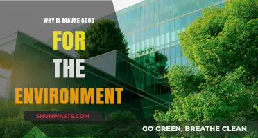 Maure's Eco-Friendly Impact: Benefits for a Sustainable Environment