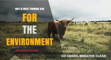 Meat Farming's Environmental Impact: A Hidden Cost of Our Diets