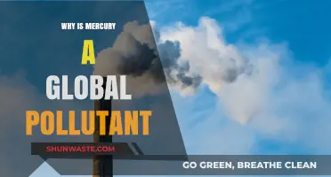 Mercury's Toxic Reach: Understanding Its Role as a Global Pollutant