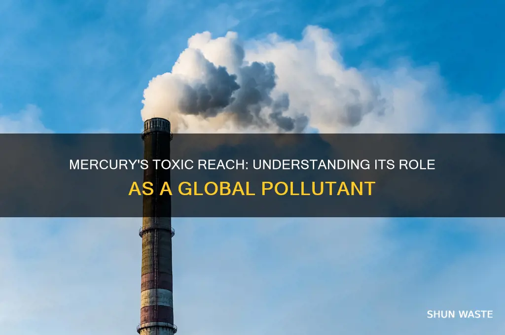 why is mercury a global pollutant