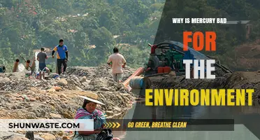Mercury's Toxic Impact: How It Harms Our Environment and Ecosystems
