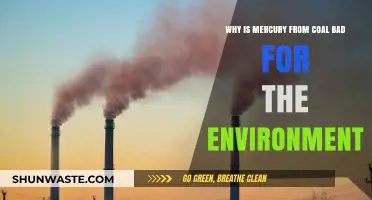 Mercury Emissions from Coal: Environmental Hazards and Long-Term Impacts