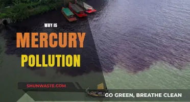 Mercury Pollution: Sources, Impacts, and Urgent Solutions Explained