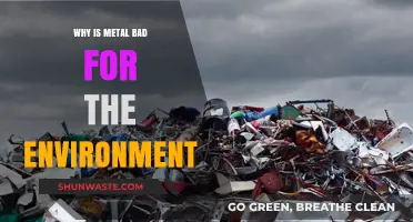 Metal's Environmental Impact: Pollution, Extraction, and Sustainability Challenges