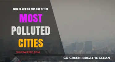 Mexico City's Pollution Crisis: Causes and Consequences Explained