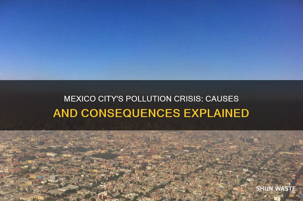 why is mexico city one of the most polluted cities