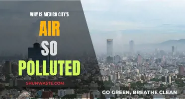 Mexico City's Air: What's Behind the Pollution?