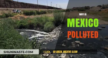 Mexico's Pollution Crisis: Causes, Impacts, and Urgent Solutions Needed