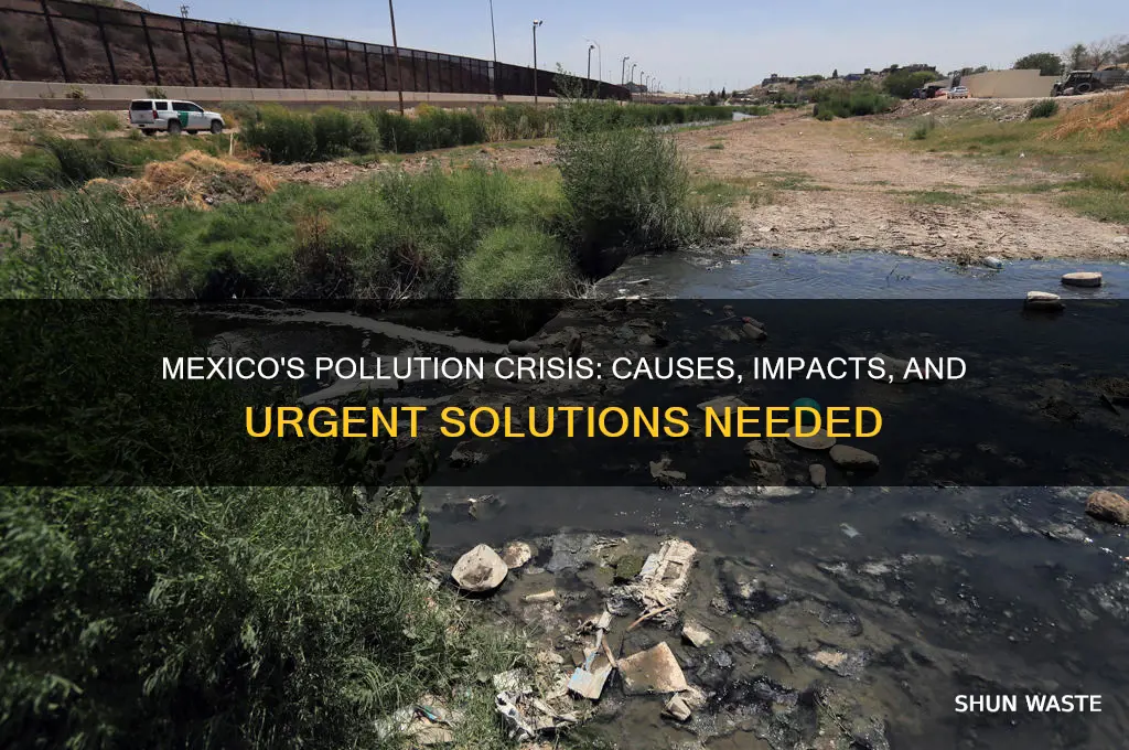 why is mexico polluted