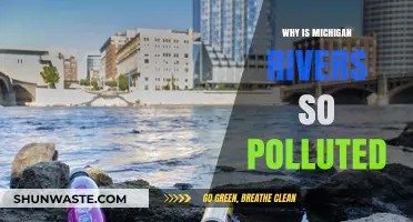 Michigan's Rivers in Crisis: Uncovering the Causes of Severe Pollution