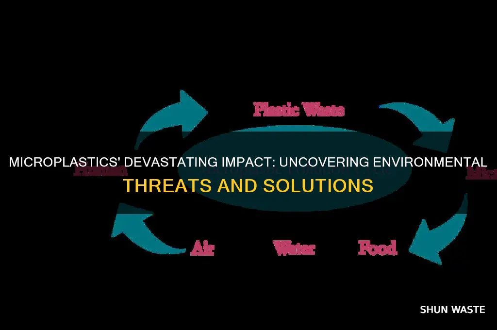 Microplastics' Devastating Impact: Uncovering Environmental Threats And ...