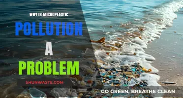 Microplastic Pollution: A Growing Threat to Ecosystems and Human Health