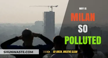Milan's Air Crisis: Uncovering the Causes of Severe Pollution